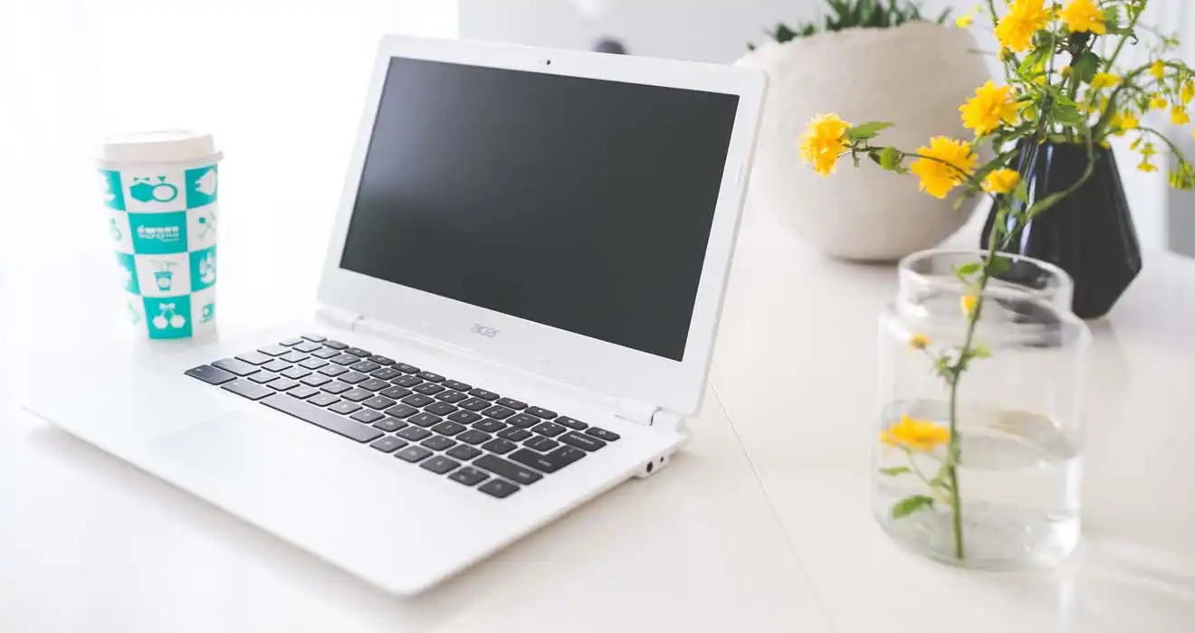 Ремонт ноутбуков Acer в Шелехове